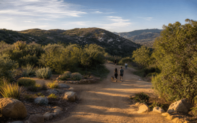 Top Outdoor Activities in Porter Ranch for Active Homeowners