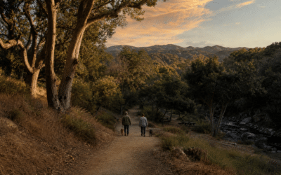 Top Outdoor Activities in Porter Ranch That Make This Neighborhood So Desirable